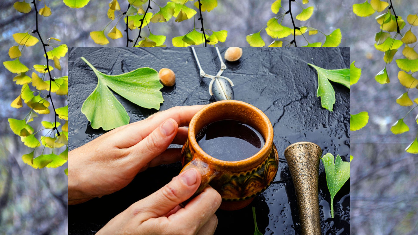 Composition d'un rituel de thé de Ginkgo Biloba avec des feuilles fraîches, une tasse en céramique, et des accessoires traditionnels sur une surface en ardoise mouillée, encadrée par des branches de Ginkgo en arrière-plan.
