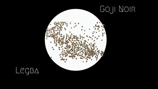 Goji Noir - Graines - LEGBA