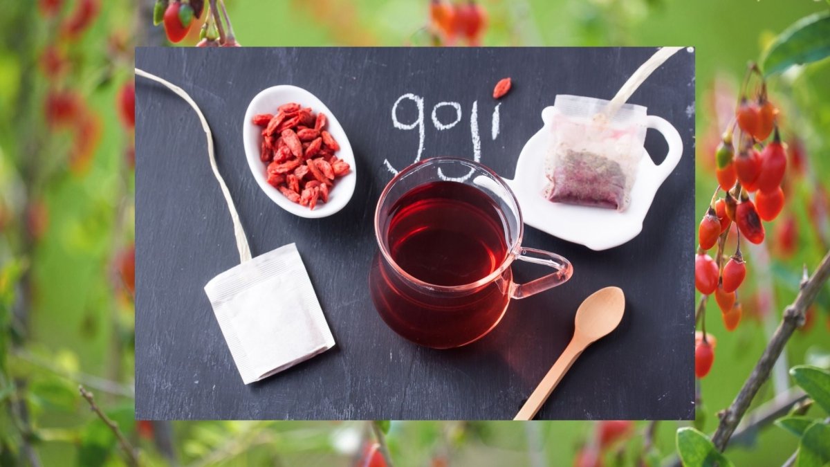 Goji ROUGE - Graines Lycium barbarum - LEGBA