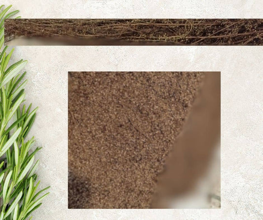 Graines d'Absinthe - ou acheter de l'Artemisia absinthium? - LEGBA