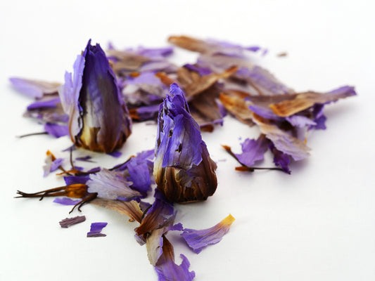 Blue Lotus Dried Flowers with Stamens