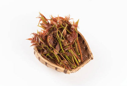 Toona sinensis, jeune arbre à feuilles composées, l'arbre bouillon cube