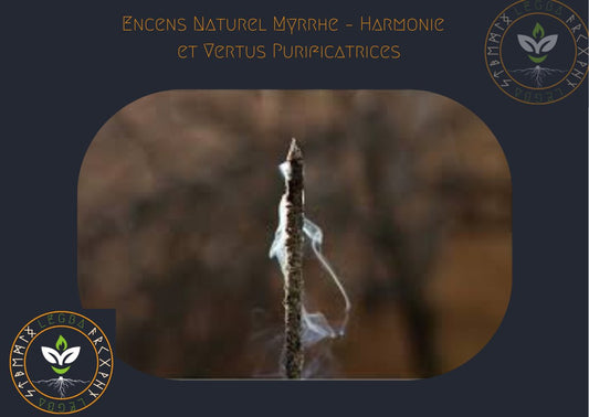 Encens Naturel Myrrhe – Harmonie Ancestrale et Vertus Purificatrices - LEGBA