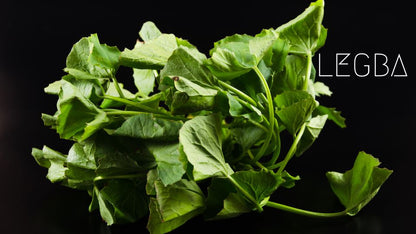 Gotu Kola (Centella asiatica), feuilles séchées en vrac