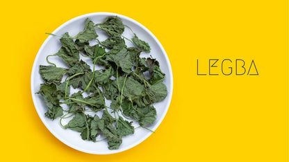 Feuilles séchées de Gotu Kola (Centella asiatica), feuilles arrondies vert olive