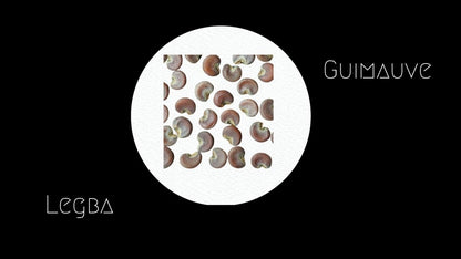 Guimauve officinale (Althaea officinalis), fleurs blanc rosé et feuillage velouté gris-vert